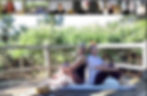 Picture shows ENGin volunteer Carrie Getz and her ENGin online yoga class